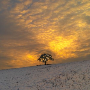 Winter sunset